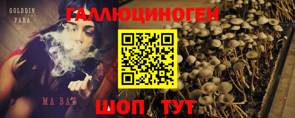 Псилоцибиновые грибы Magic Shrooms Новочебоксарск