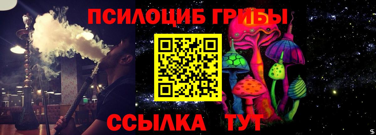 Новочебоксарск  Галлюциногенные грибы Psilocybe  Вход с VPN  Псилоцибиновые грибы мицелий 